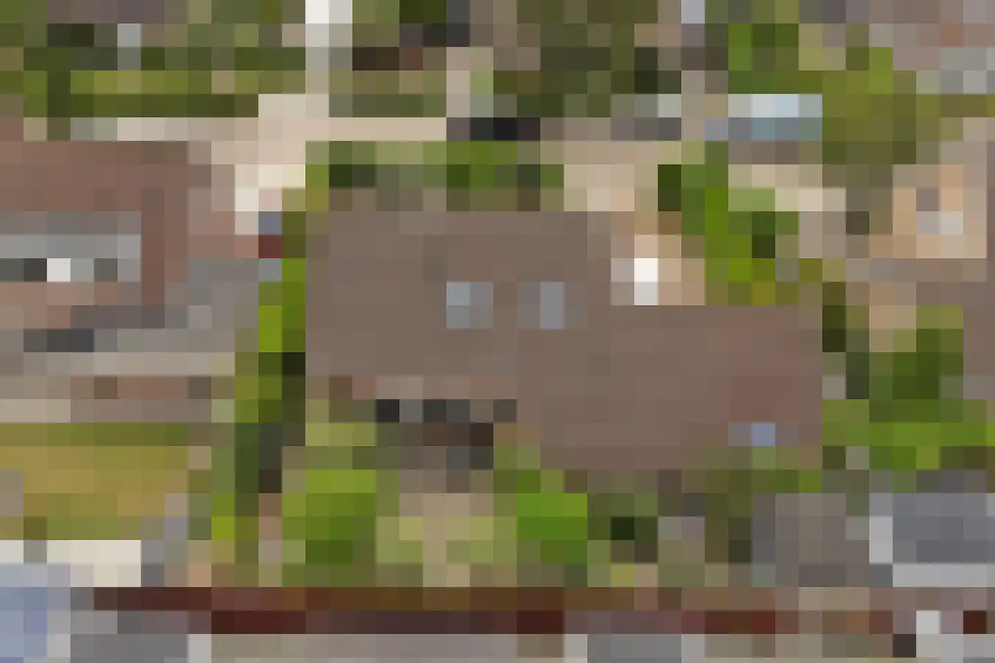 Sportlaan 33 Wissenkerke thumbnail 33