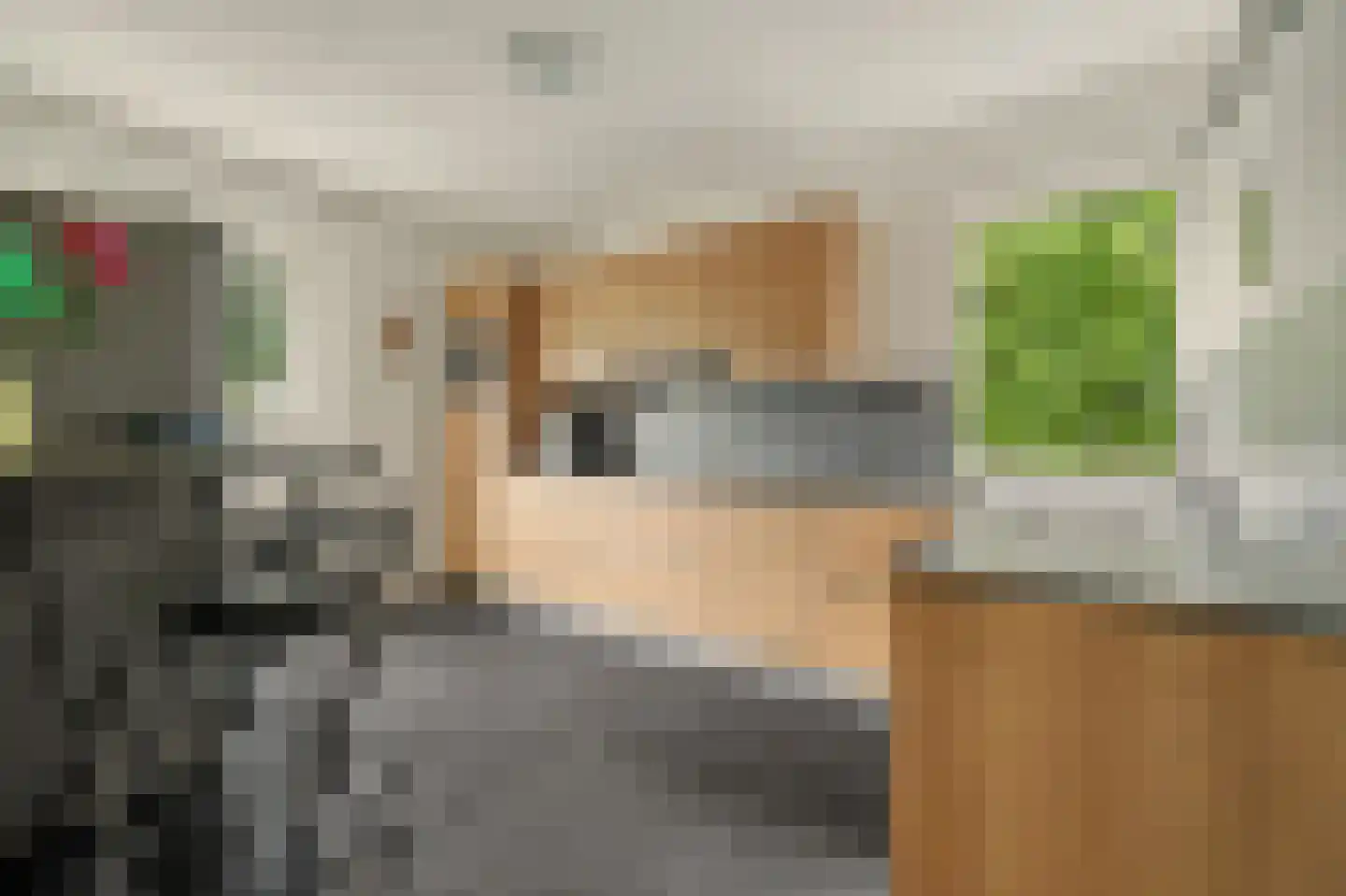Sportlaan 33 Wissenkerke thumbnail 4