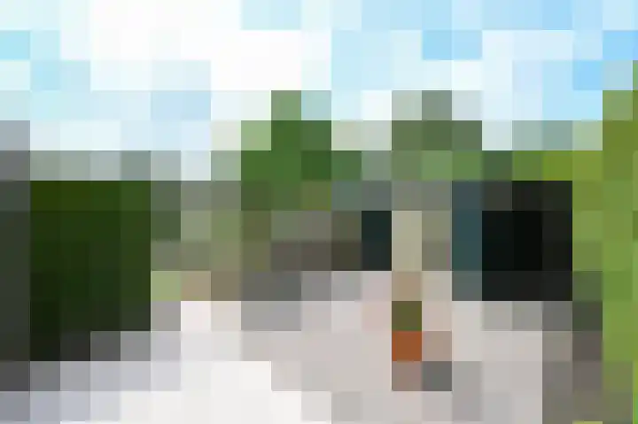 Sportlaan 33 Zevenhoven thumbnail 34