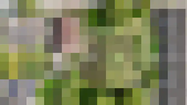 Sportlaan 33 Zevenhoven thumbnail 4