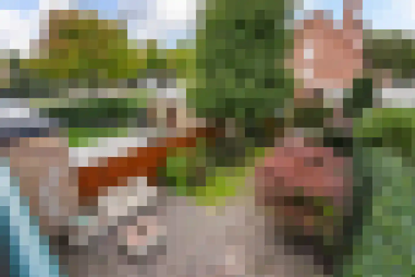 Sportlaan 337 Den Haag thumbnail 45