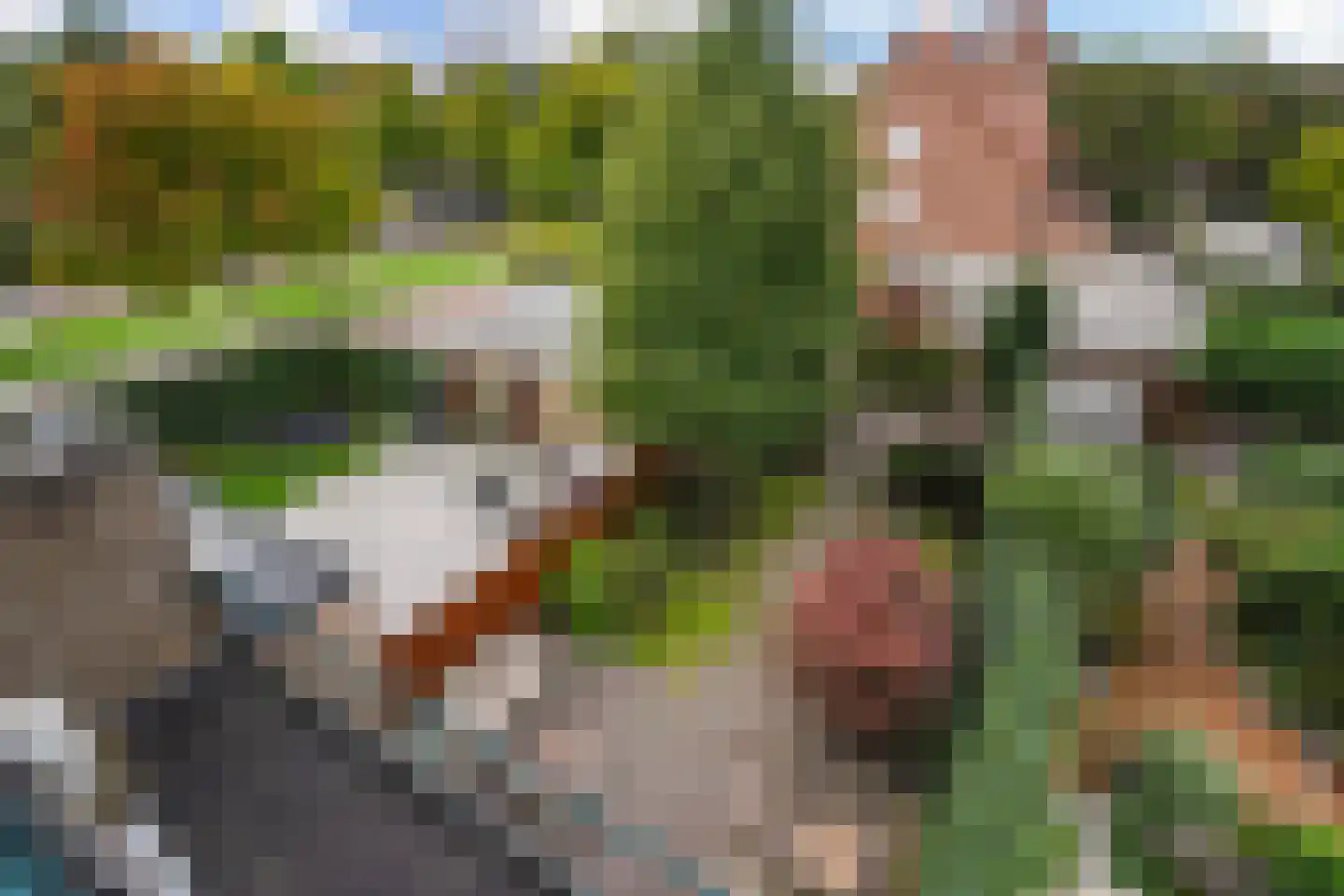 Sportlaan 337 Den Haag thumbnail 53