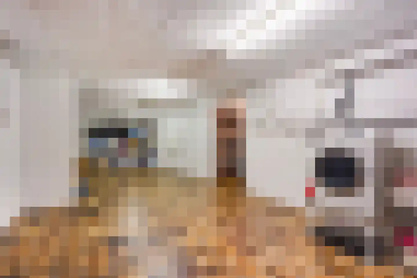 Sportlaan 337 Den Haag thumbnail 63