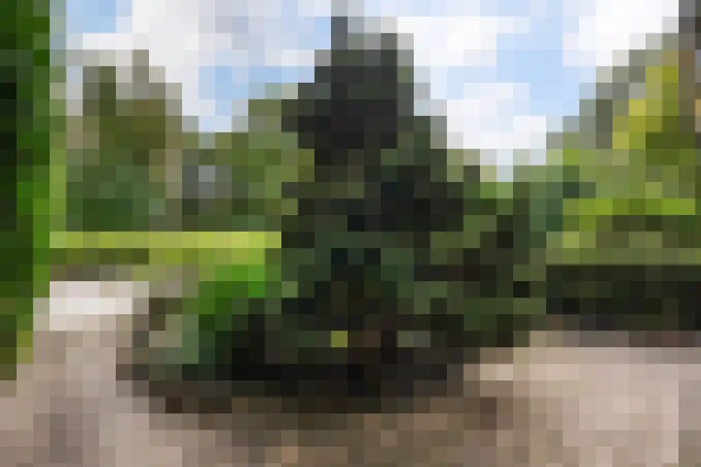 Sportlaan 337 Den Haag thumbnail 67