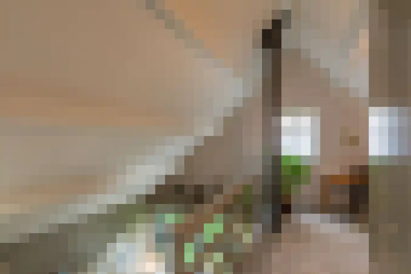Sportlaan 34 h34 Oudesluis thumbnail 15