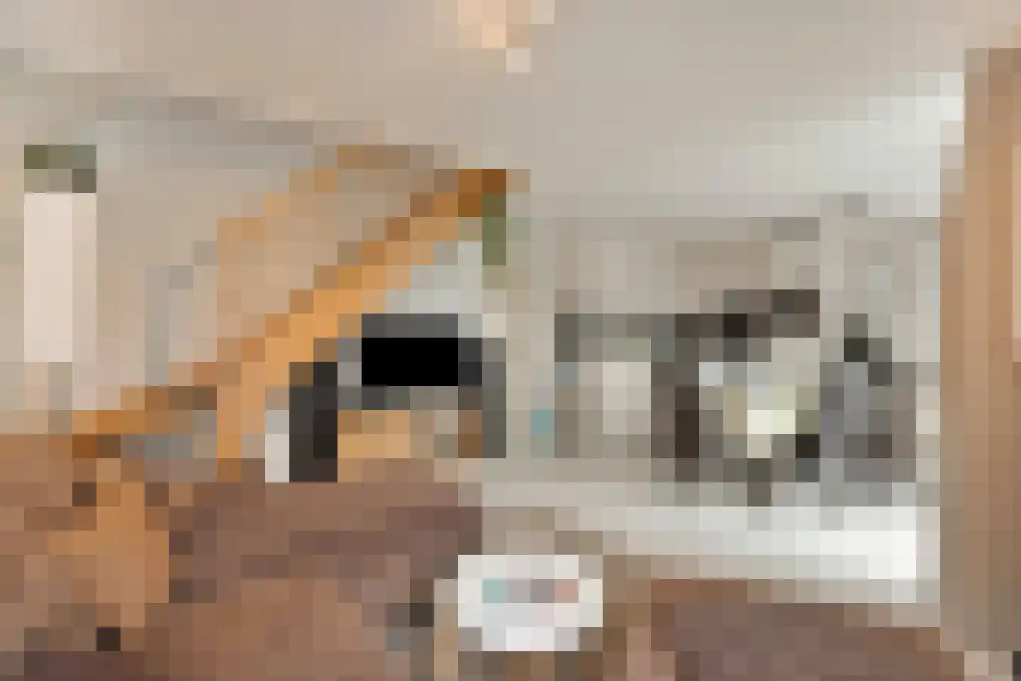 Sportlaan 34 h65 Oudesluis thumbnail 7