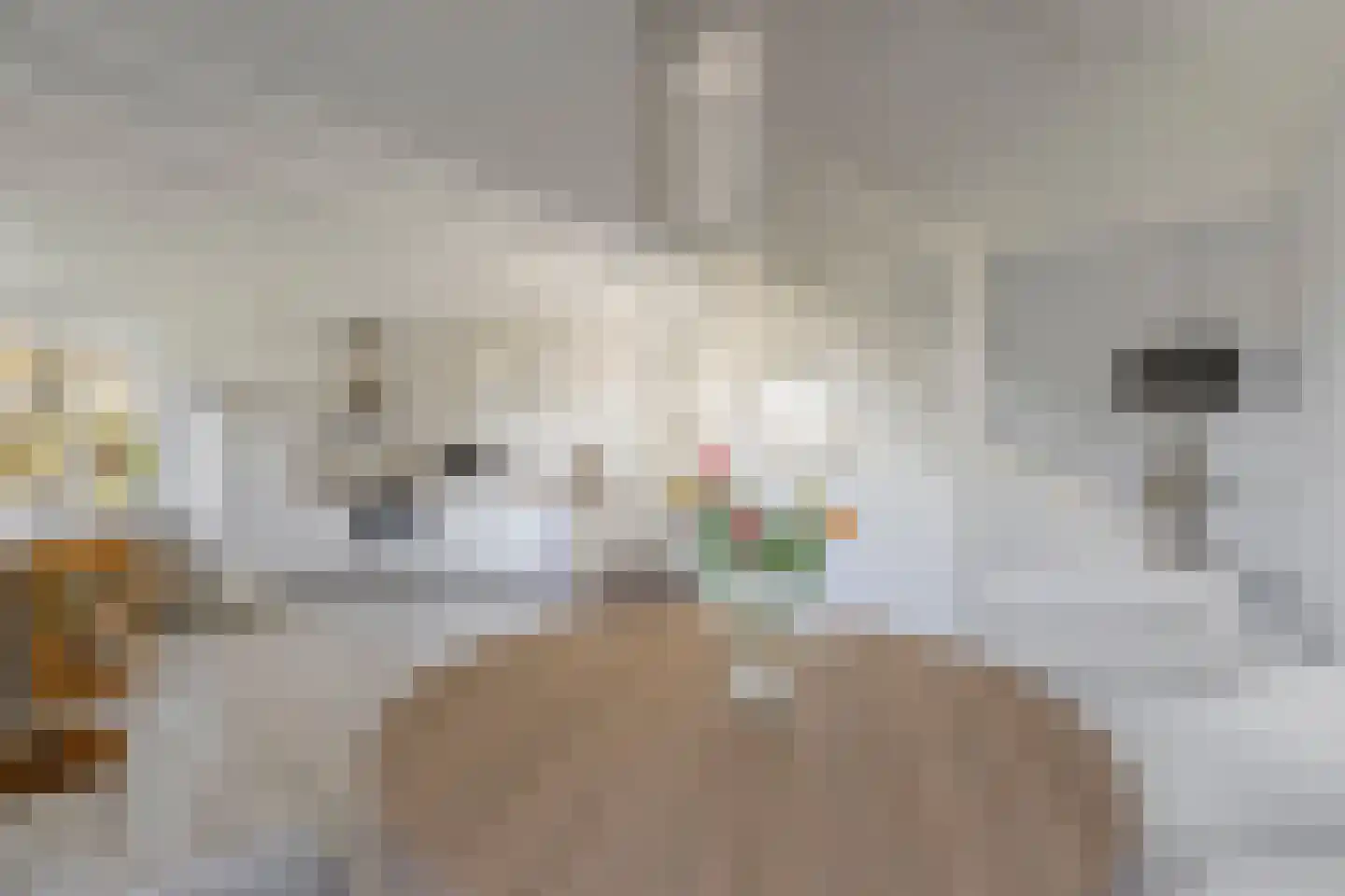 Sportlaan 34 h70 Oudesluis thumbnail 9