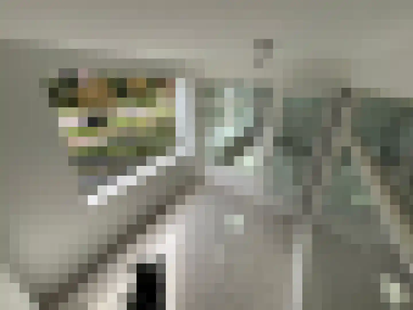 Sportlaan 36 Uithoorn thumbnail 8