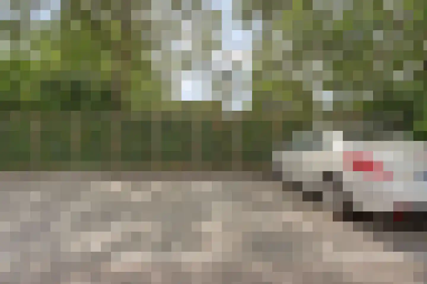 Sportlaan 39 C De Lier thumbnail 27