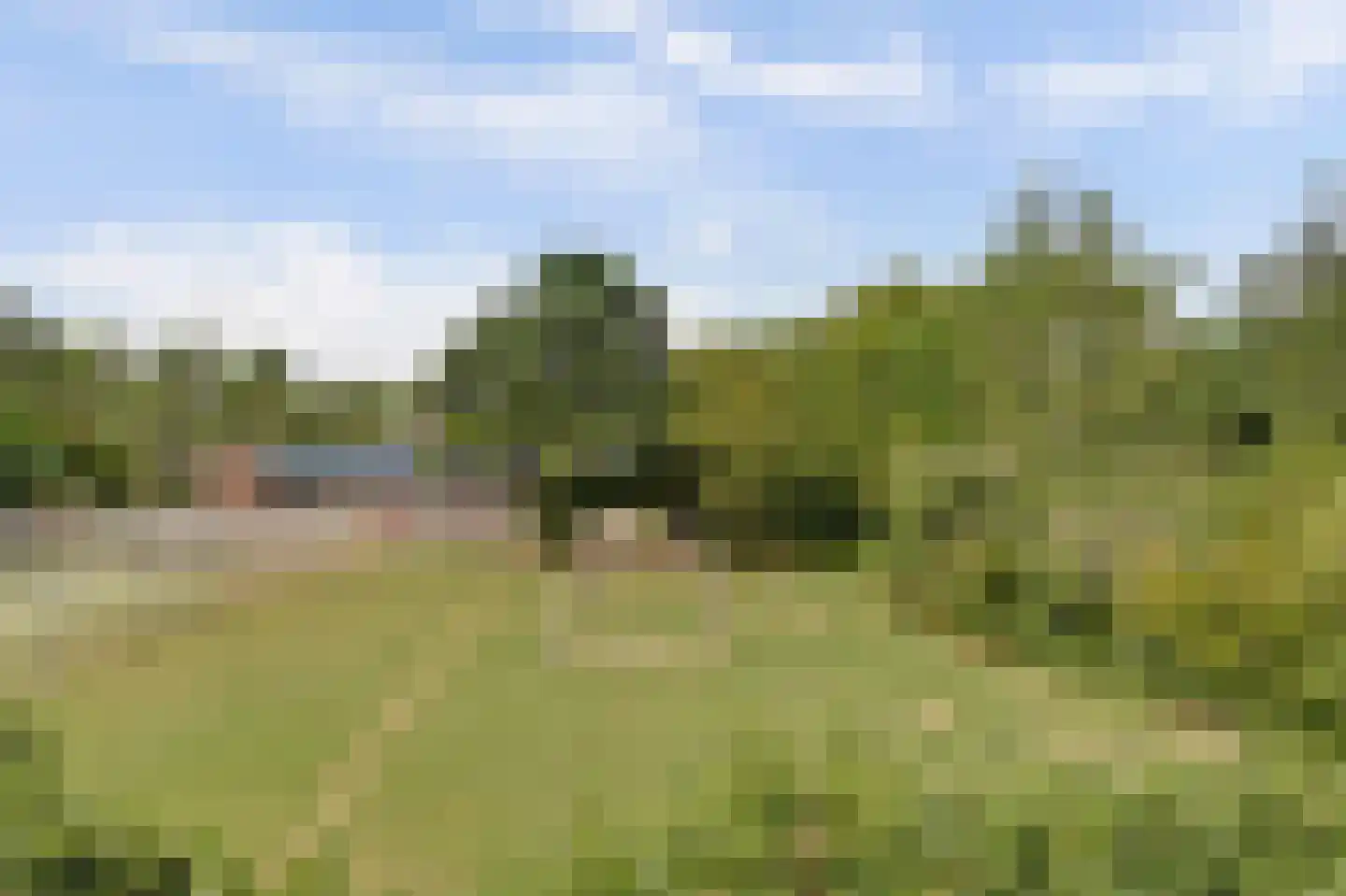 Sportlaan 39 C De Lier thumbnail 29