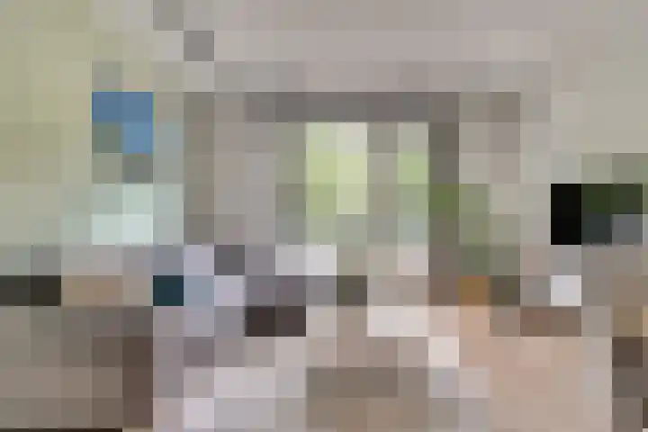Sportlaan 39 E De Lier thumbnail 11