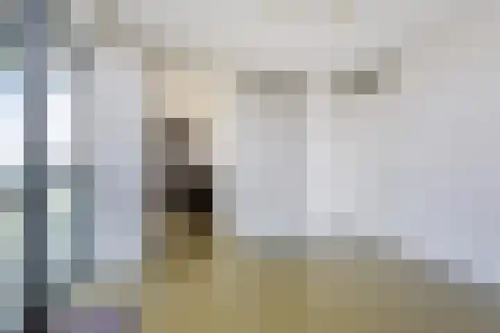 Sportlaan 4 37 Groningen thumbnail 21