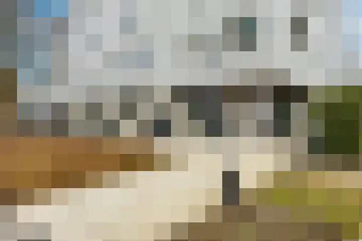 Sportlaan 4 41 Groningen thumbnail 52