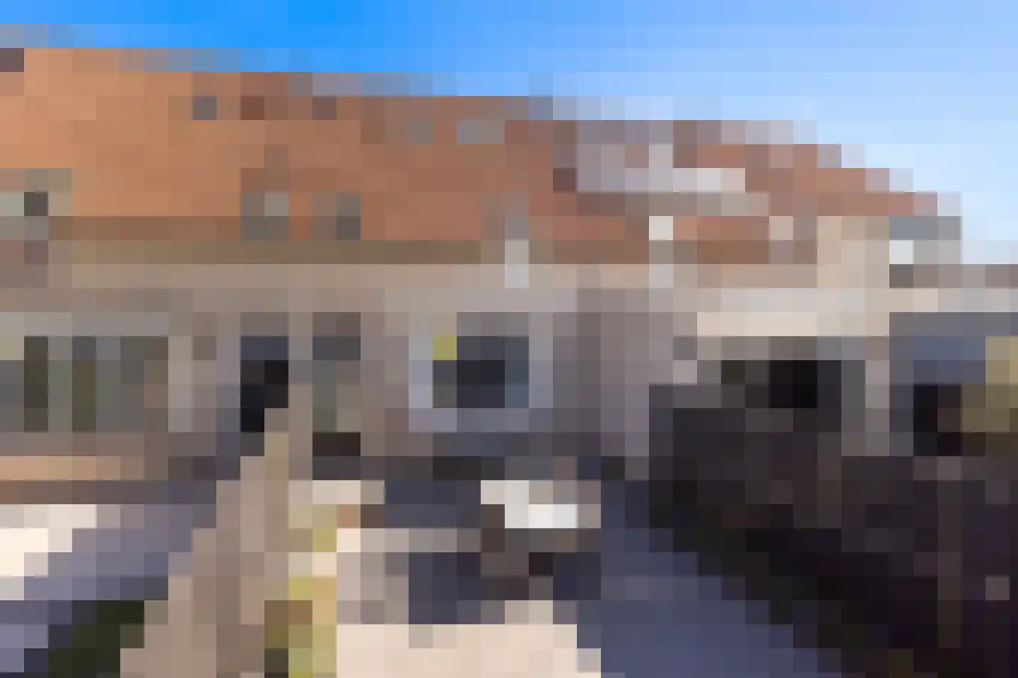 Sportlaan 4 d Stolwijk thumbnail 16