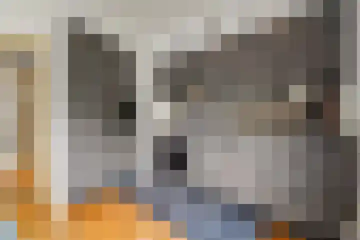 Sportlaan 4 Den Haag thumbnail 10