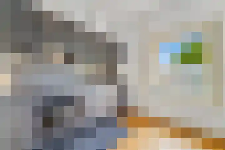 Sportlaan 4 Den Haag thumbnail 14