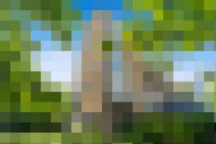 Sportlaan 4 Den Haag thumbnail 21