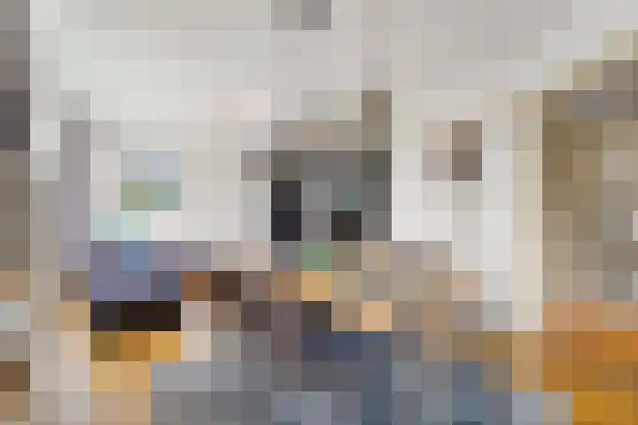 Sportlaan 4 Den Haag thumbnail 7