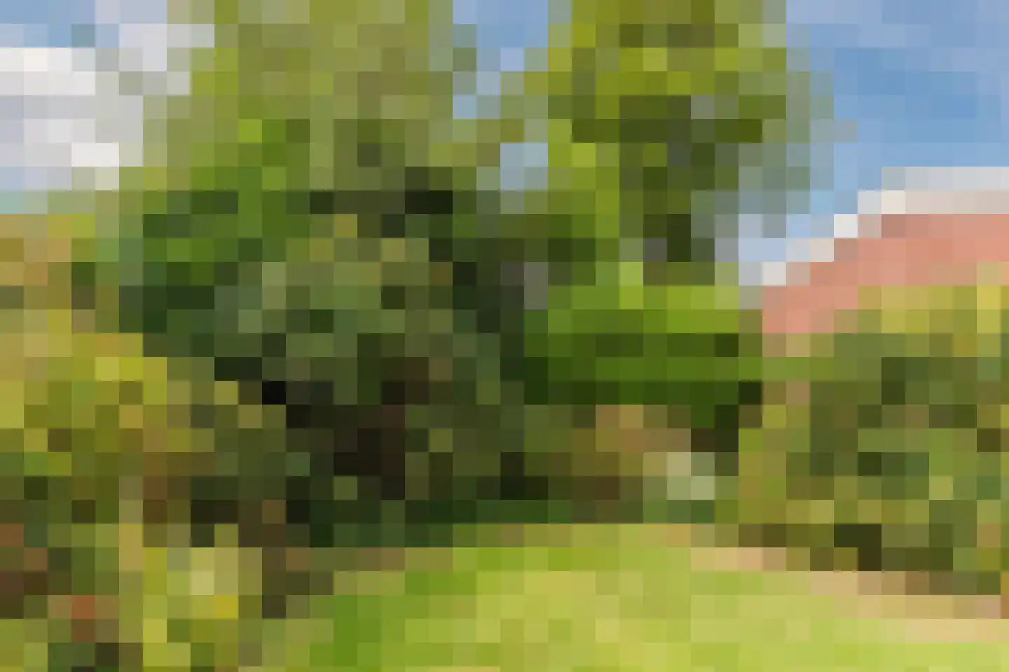 Sportlaan 4 Koedijk thumbnail 49