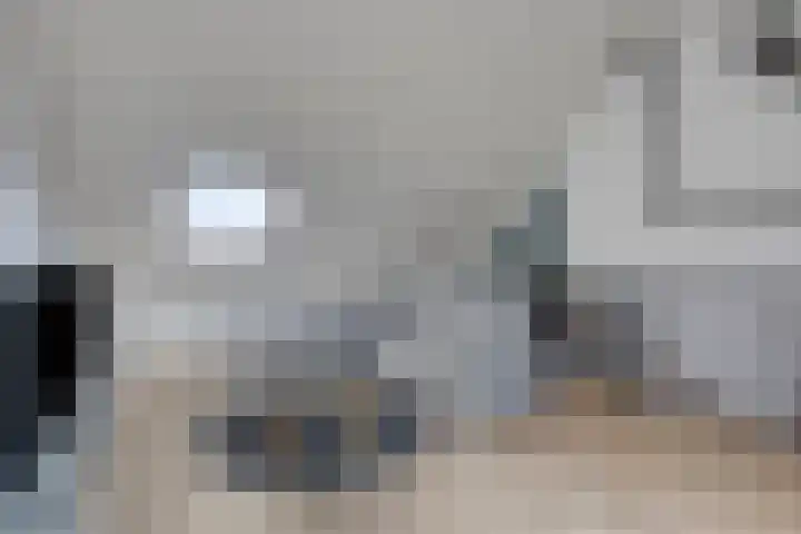 Sportlaan 43 Oss thumbnail 22