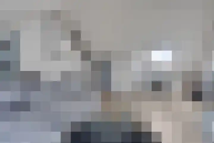 Sportlaan 43 Oss thumbnail 23