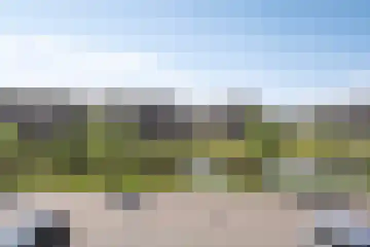 Sportlaan 43 Oss thumbnail 30