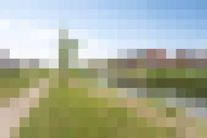 Sportlaan 43 Oss thumbnail 31