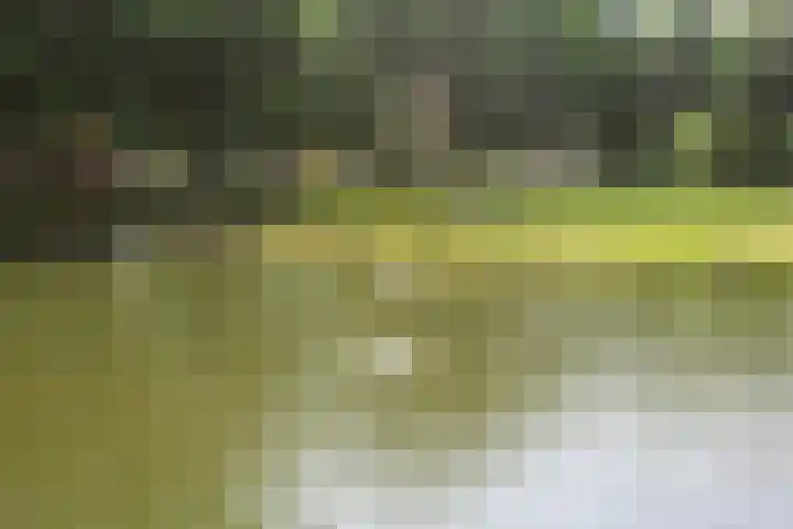 Sportlaan 43 Oss thumbnail 32