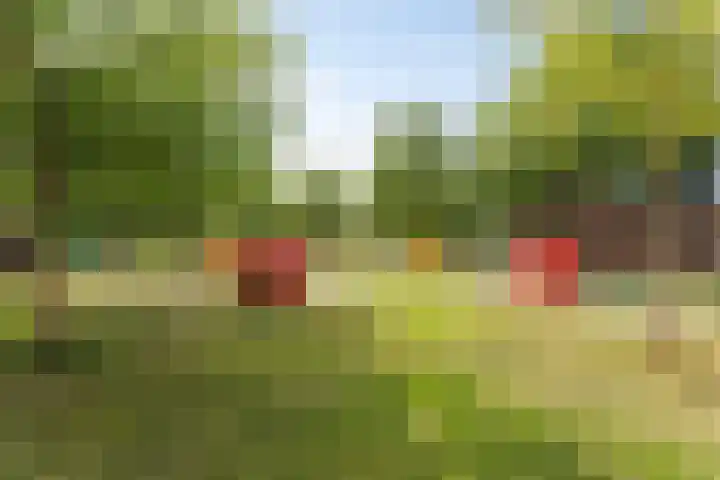 Sportlaan 43 Oss thumbnail 33