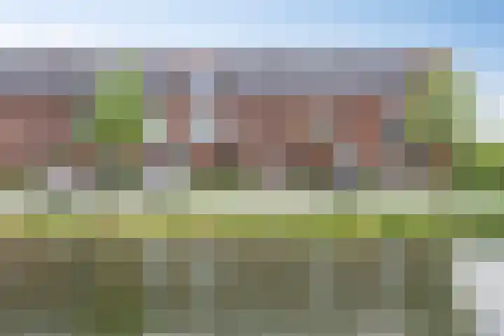 Sportlaan 43 Oss thumbnail 39