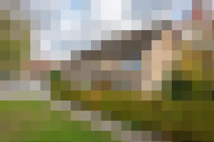 Sportlaan 44 't Harde thumbnail 4