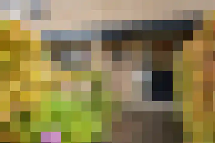 Sportlaan 44 't Harde thumbnail 5