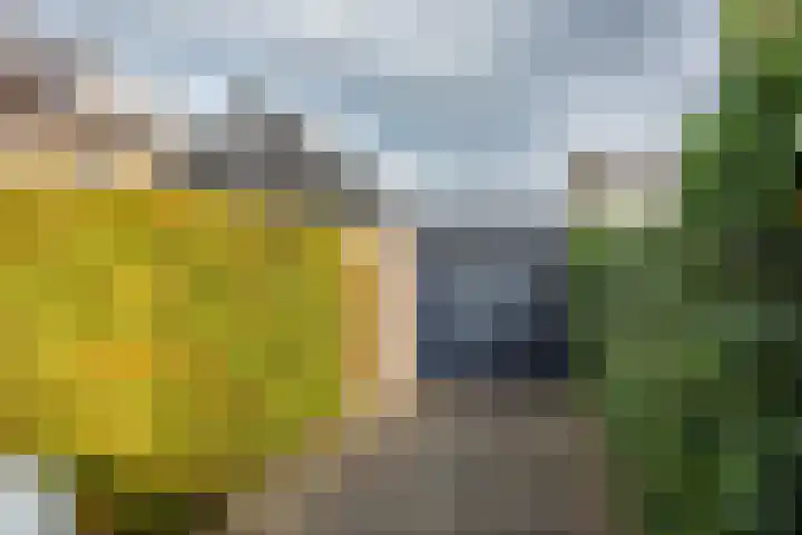 Sportlaan 44 't Harde thumbnail 55