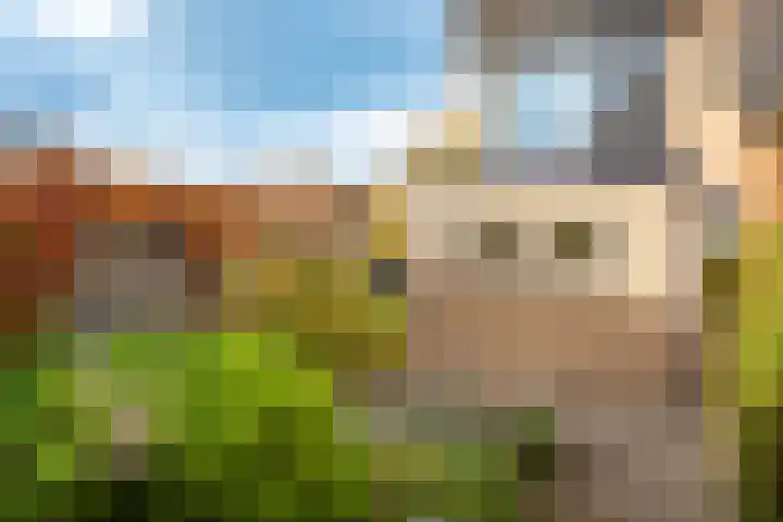 Sportlaan 44 't Harde thumbnail 56