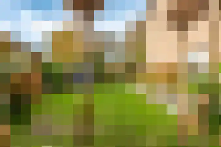 Sportlaan 44 't Harde thumbnail 62