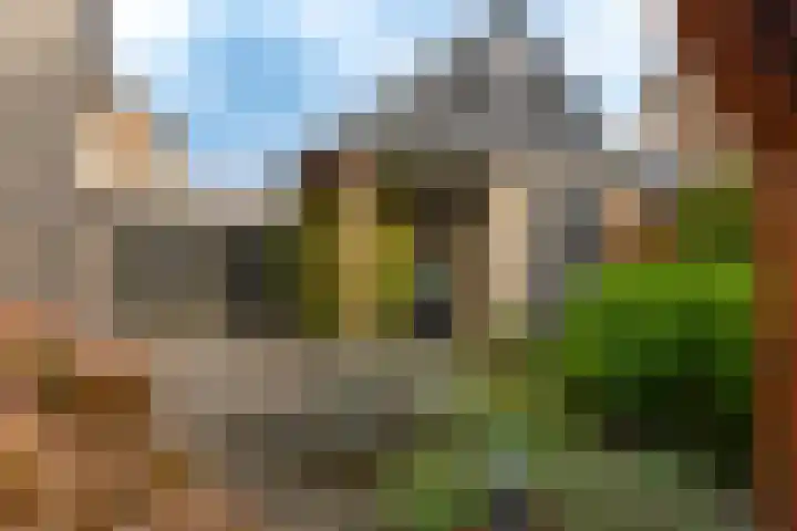 Sportlaan 44 't Harde thumbnail 63
