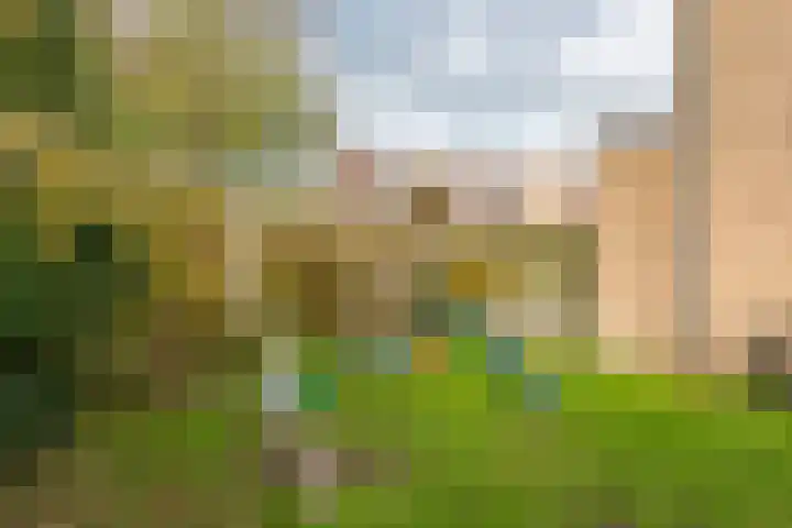 Sportlaan 44 't Harde thumbnail 65