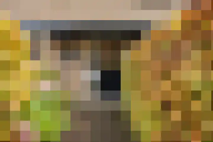Sportlaan 44 't Harde thumbnail 7