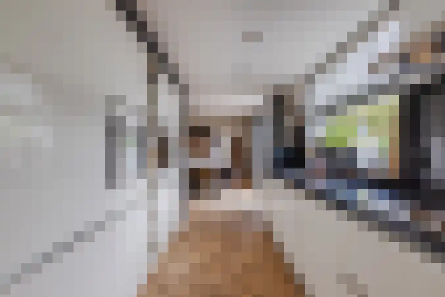Sportlaan 44 Werkendam thumbnail 20