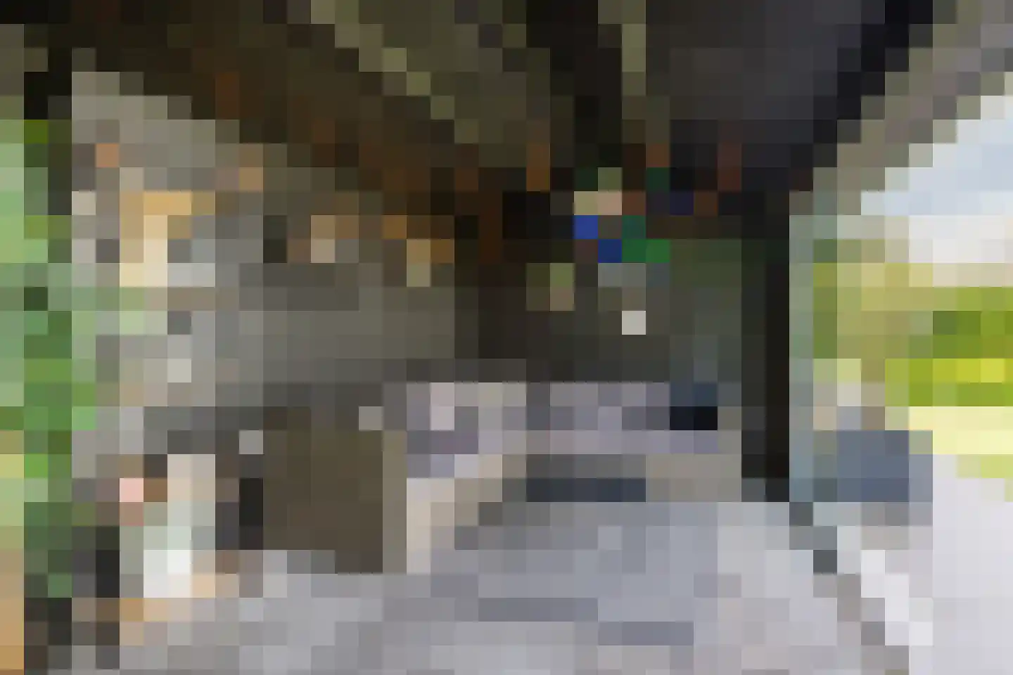 Sportlaan 44 Werkendam thumbnail 47