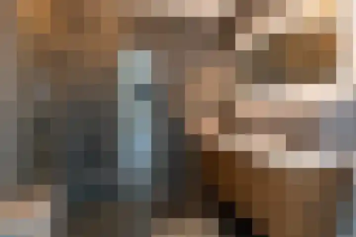 Sportlaan 46 Almkerk thumbnail 24