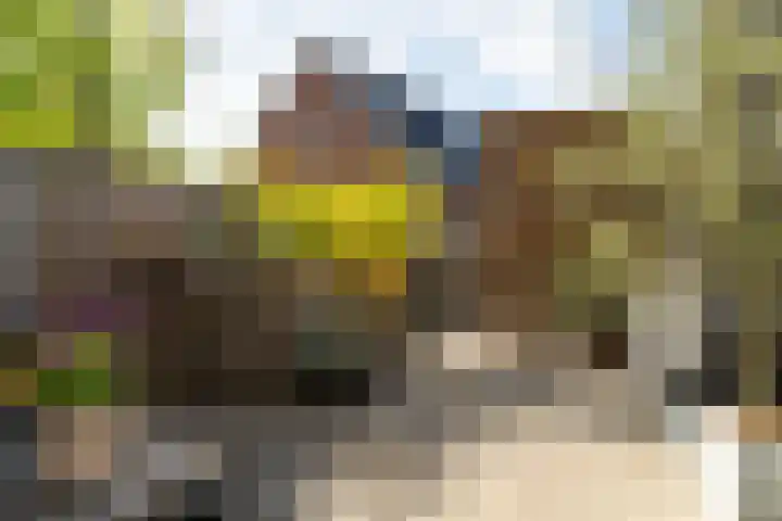 Sportlaan 46 Almkerk thumbnail 31