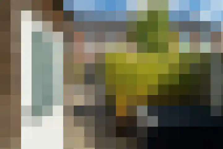 Sportlaan 46 Almkerk thumbnail 32