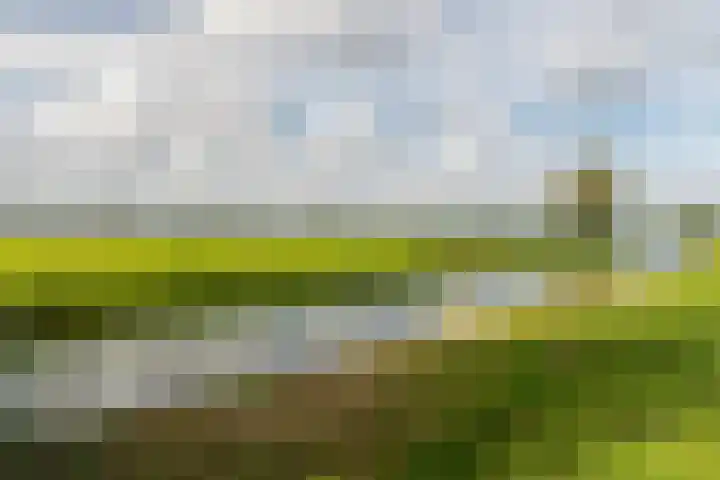 Sportlaan 46 Almkerk thumbnail 4