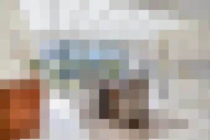 Sportlaan 47 b Wissenkerke thumbnail 10