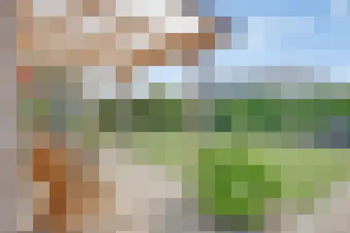 Sportlaan 47 b Wissenkerke thumbnail 29