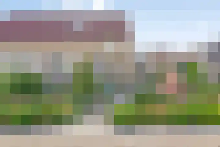 Sportlaan 47 b Wissenkerke thumbnail 40
