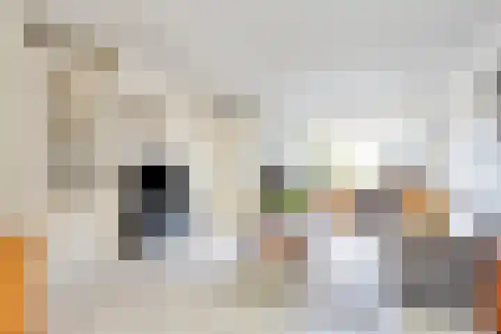 Sportlaan 47 b Wissenkerke thumbnail 8