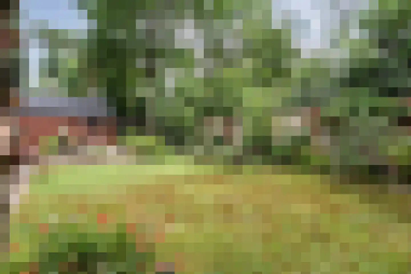 Sportlaan 47 Bergentheim thumbnail 35