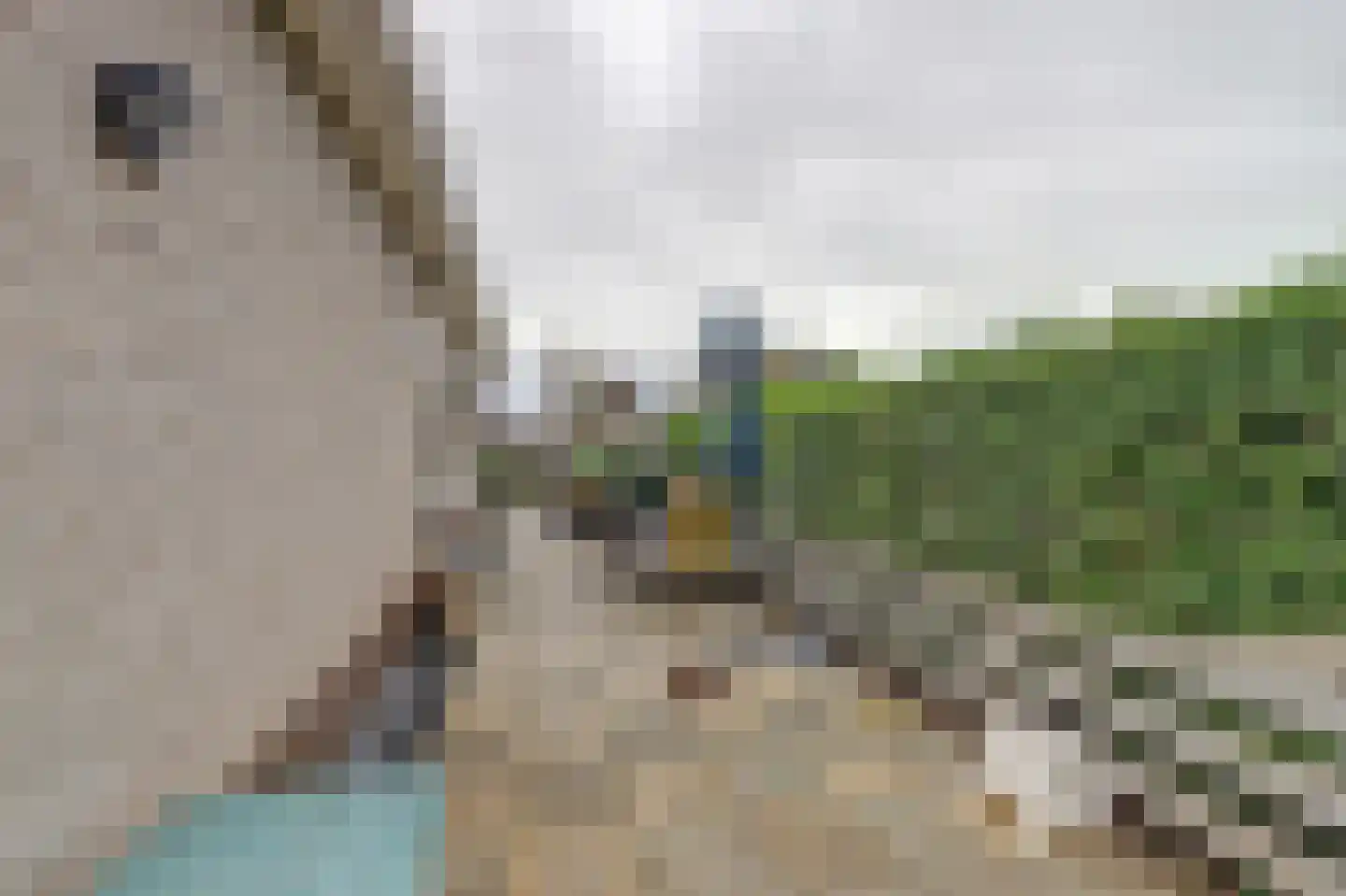Sportlaan 47 Wissenkerke thumbnail 31